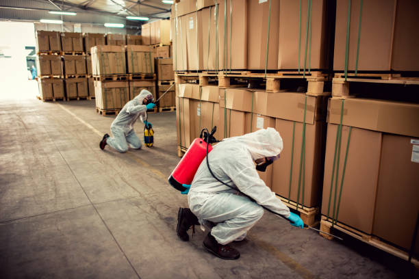 Best Rat Extermination Near Me  in North Chicago, IL