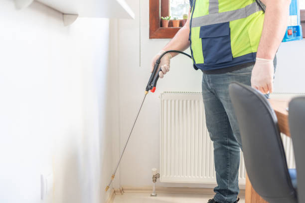 Best Flea Control Services  in North Chicago, IL