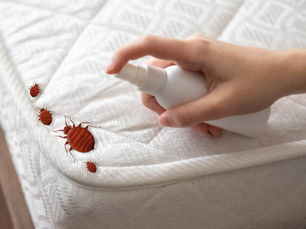 Best Spider Control Near Me  in North Chicago, IL